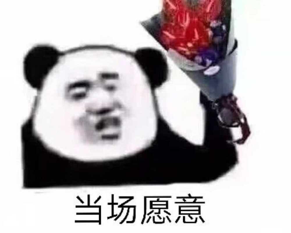 我cccc