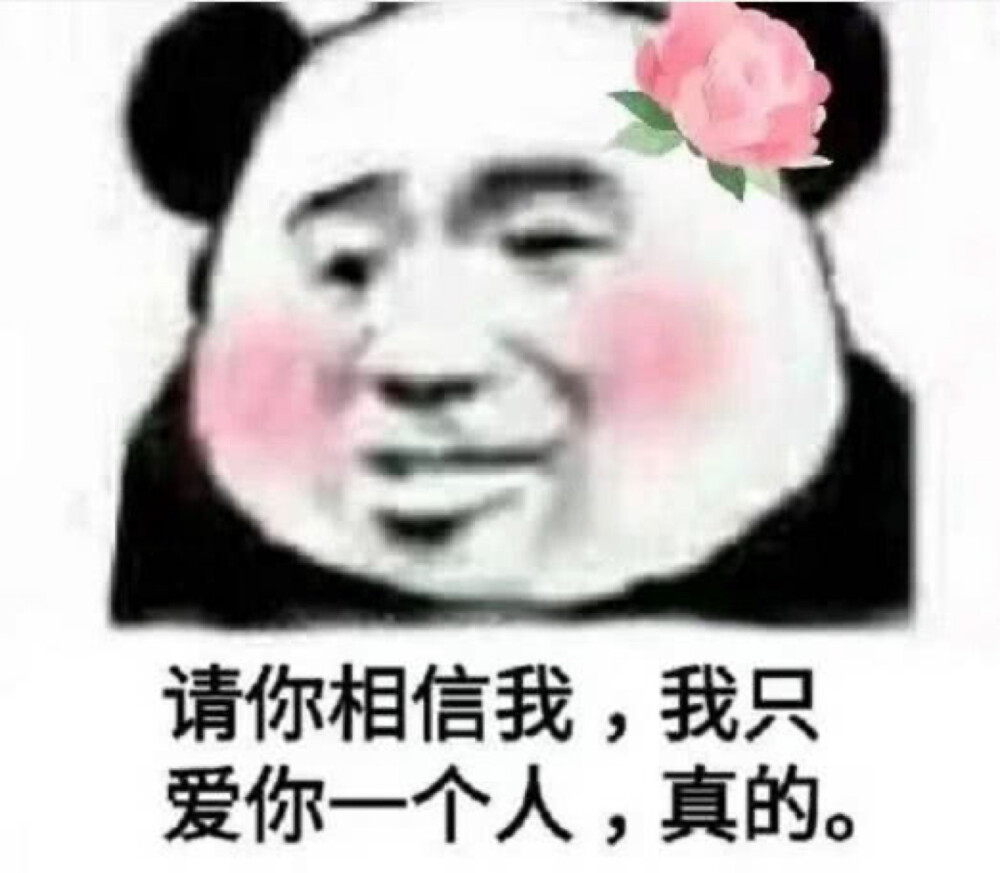 我cccc