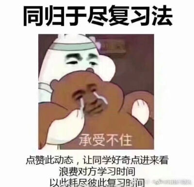 聊天必备表情包