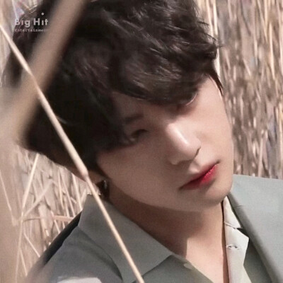 金泰亨
二传©贤叔