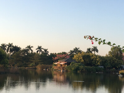 海珠湖