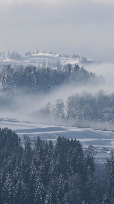 雪景壁纸