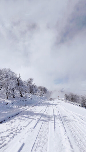 雪景壁纸