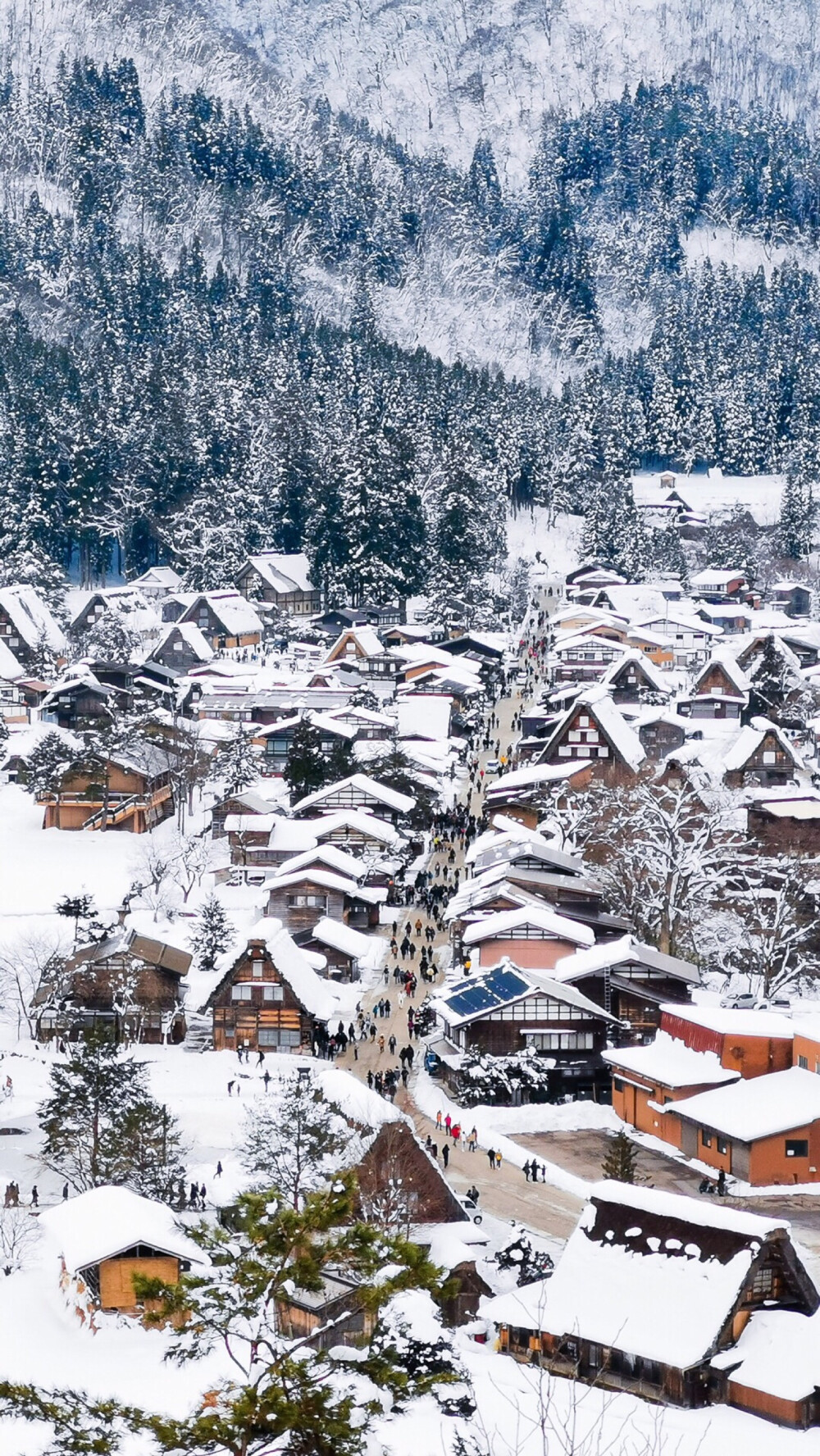 雪景壁纸