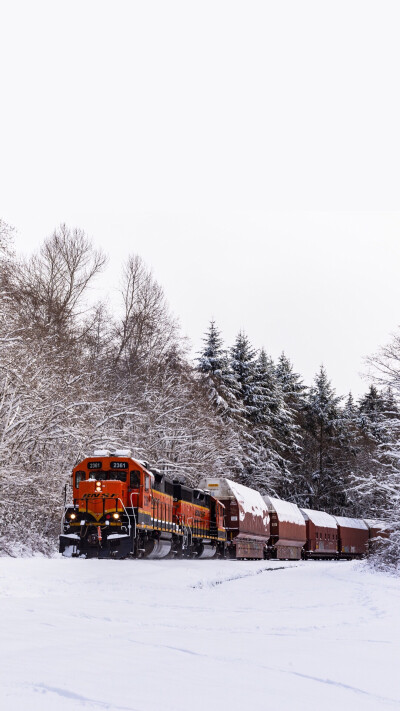 雪景壁纸