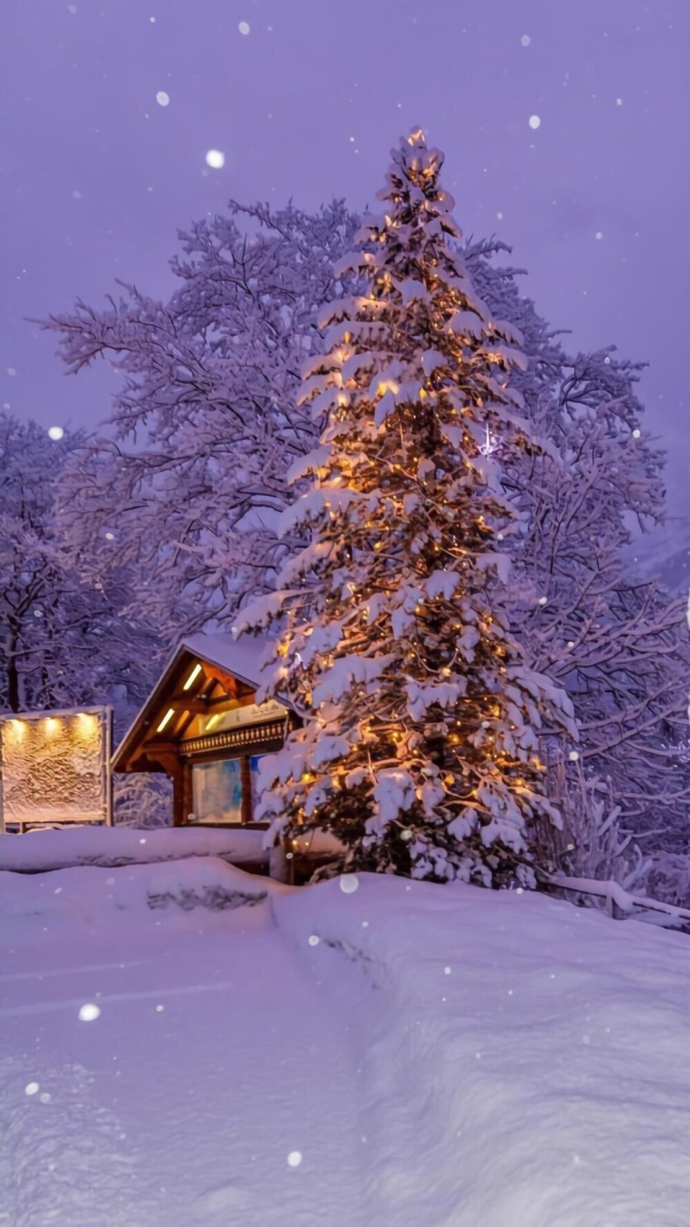 雪景壁纸