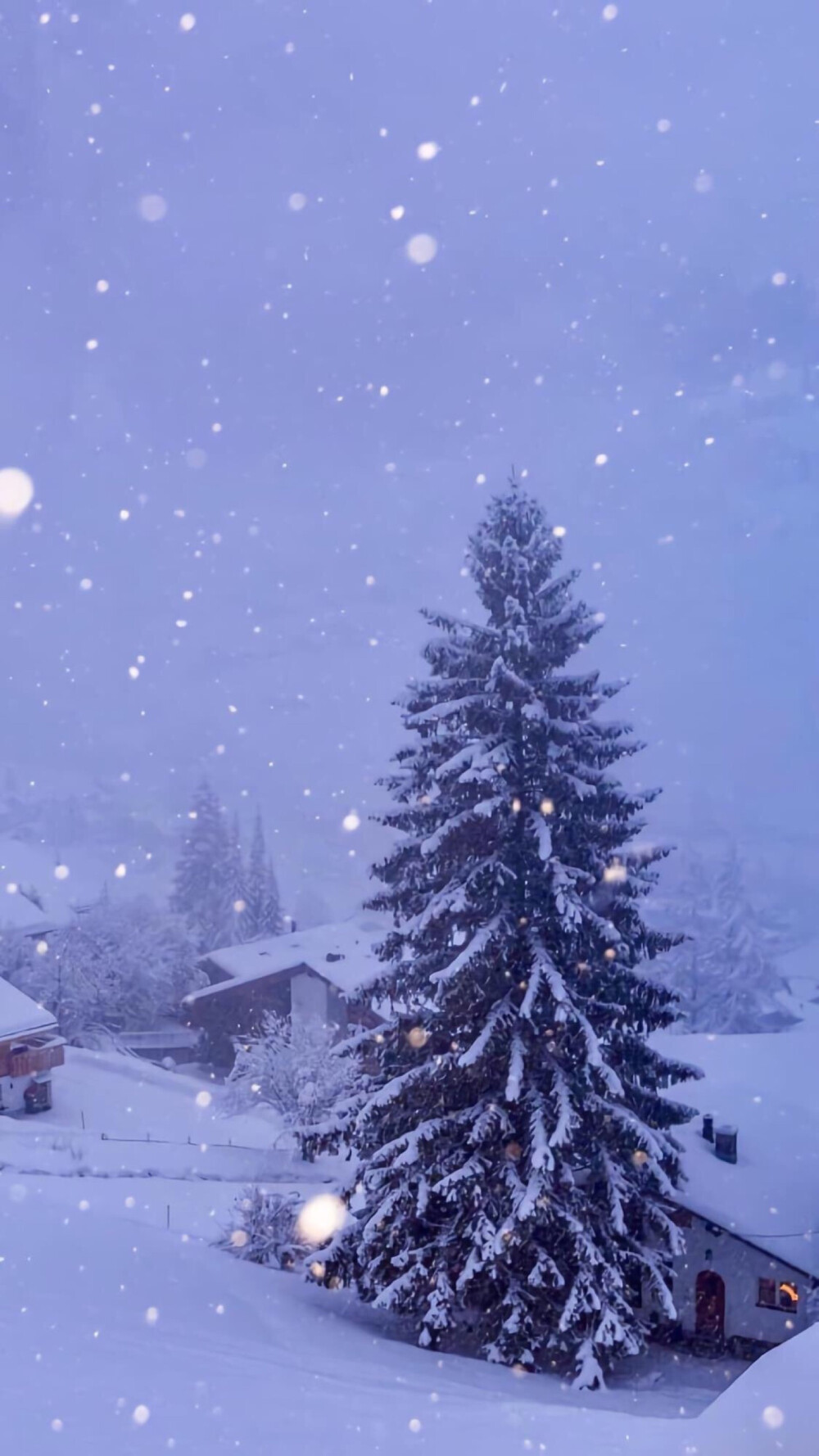 雪景壁纸