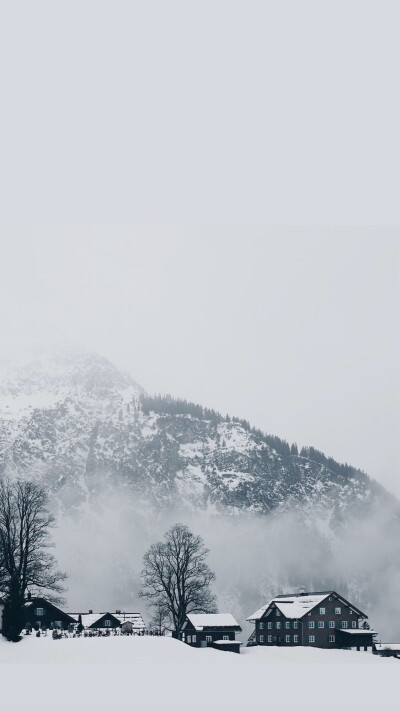 雪景壁纸