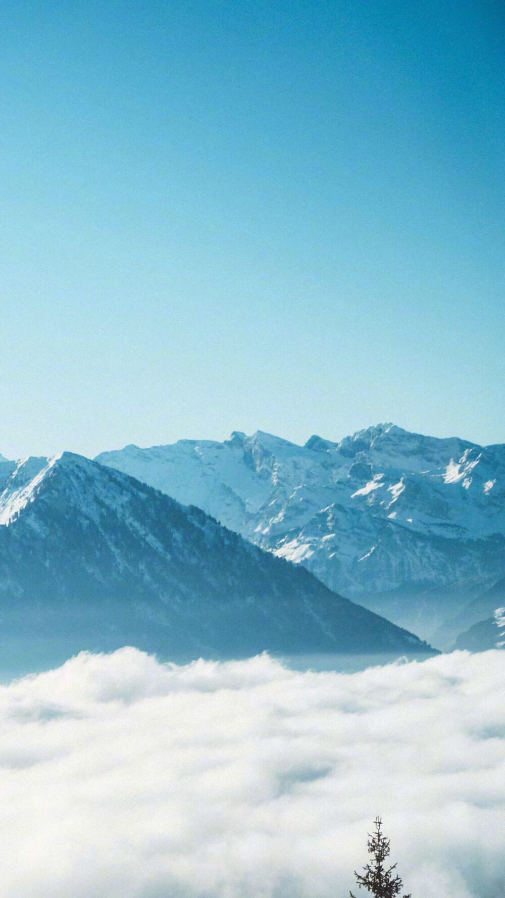 雪景壁纸