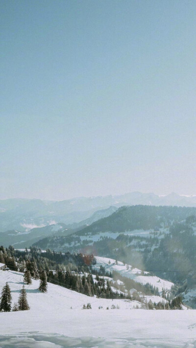 雪景壁纸