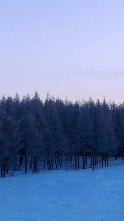 雪景壁纸