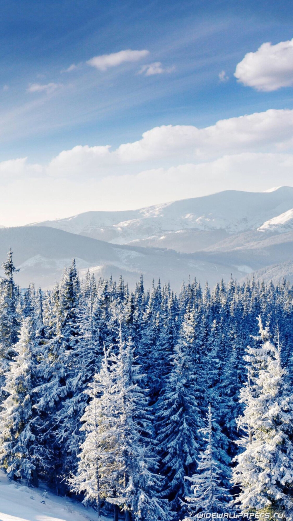 雪景壁纸