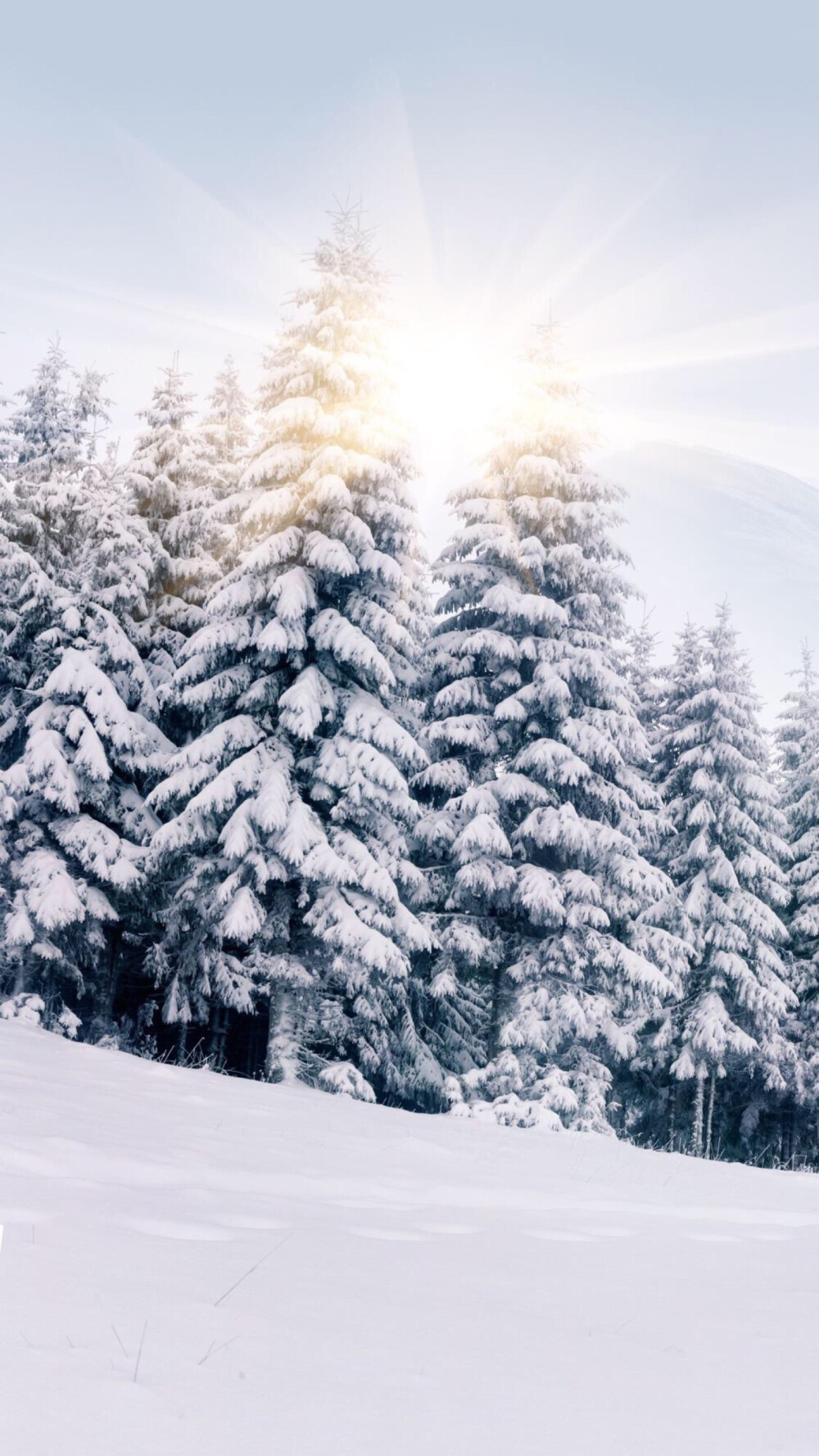 雪景壁纸