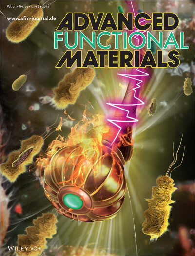 AFM 华南理工杂志封面图文章示意图机理图TOC设计制作美化科研做作绘图
科研示意图/TOC/Scheme设计学术期刊SCI封面图插图流程图设计
sci杂志封面配图设计邦图科研绘图医学插画动画示意图流程图绘制
科普插画动画流…