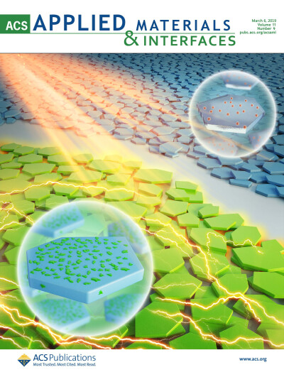 ACS Appl. Mater. Interfaces 西北工业大学杂志封面图文章示意图机理图TOC设计制作美化科研做作绘图
科研示意图/TOC/Scheme设计学术期刊SCI封面图插图流程图设计
sci杂志封面配图设计邦图科研绘图医学插画动画示意…