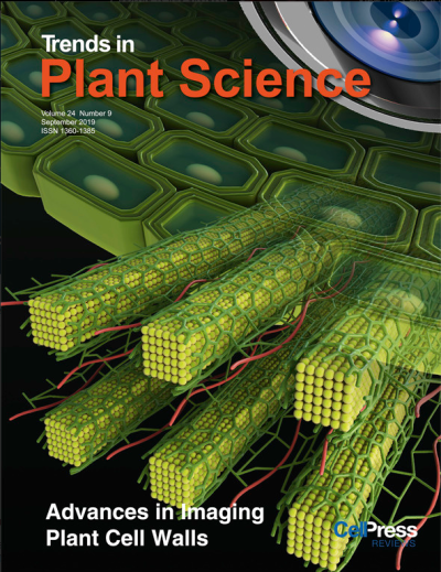 Trends in Plant Science 北京林业大学医学插画论文配图杂志sci封面设计科研绘图教程三维动画
医学动画论文配图杂志sci封面设计科研绘图教程三维动画
sci绘图论文配图3d科研绘图学术期刊封面设计医学插画
科研绘…