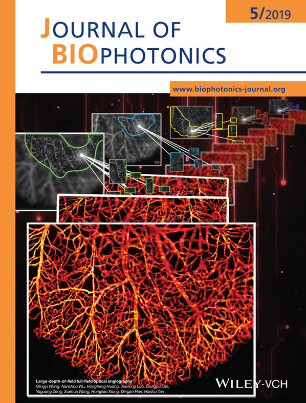 Journal of Biophotonics 佛山科学技术学院科研绘图画图SCI杂志期刊封面图流程图示意图摘要图TOC绘制
邦图科研绘图构图画图SCI期刊三维摘要图TOC封面设计
国外科研SCI文章绘图PS电镜图医学动画期刊杂志封面TOC设计绘制
杂志封面图文章示意图机理图TOC设计制作美化科研做作绘图
科研示意图/TOC/Scheme设计学术期刊SCI封面图插图流程图设计
sci杂志封面配图设计邦图科研绘图医学插画动画示意图流程图绘制
科普插画动画流程绘制医疗生物医学漫画绘图教材插图杂志封面配图设计
