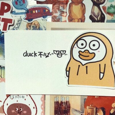 duck 