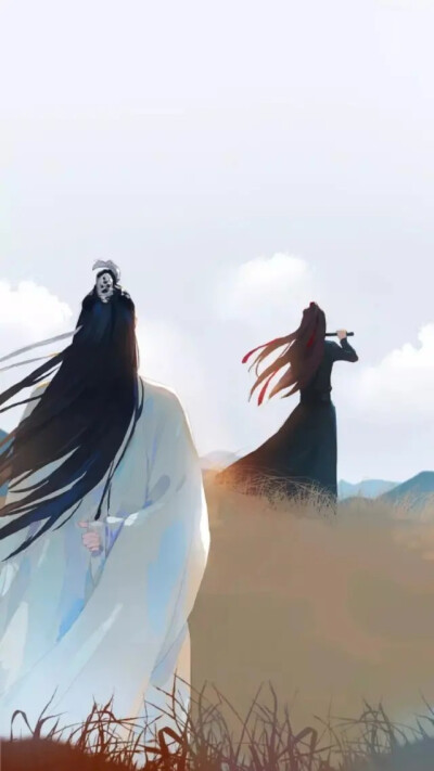 魔道祖师 魏无羡 蓝忘机