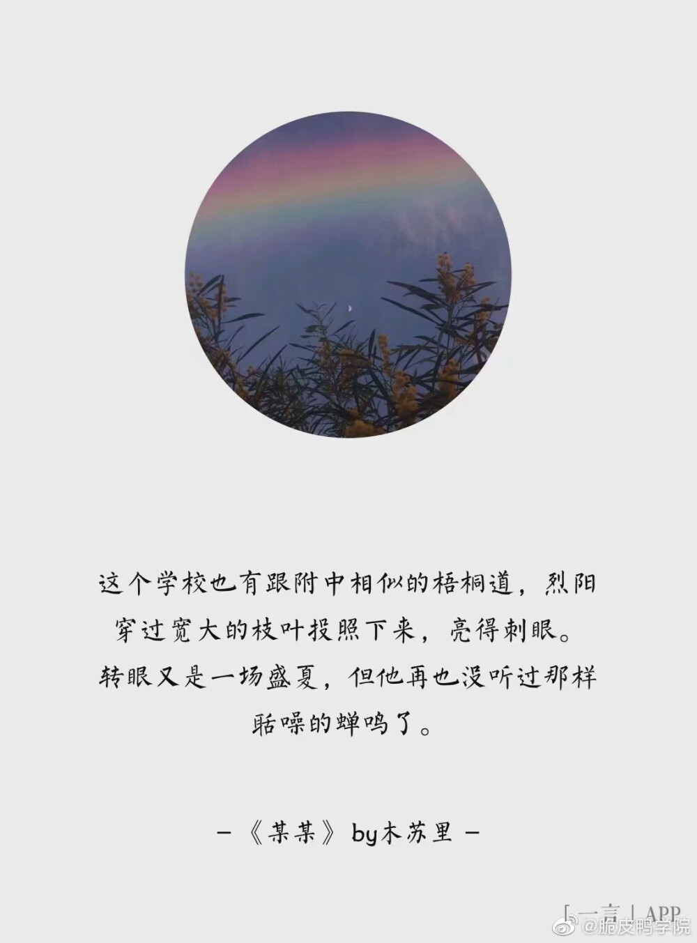 《某某》书摘
人间骄阳刚好，风过林梢，彼时他们正当年少。