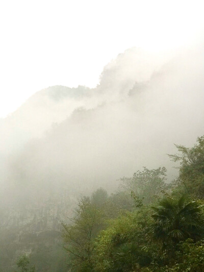 无限风光在险峰