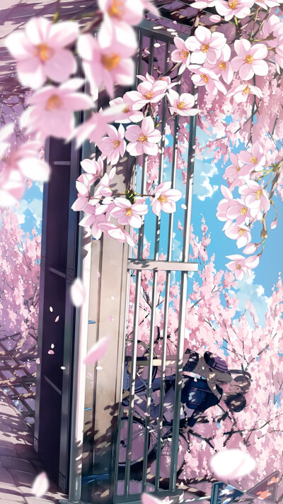 我仅是不愿，见寓意着圆满的合欢，晚景凄凉。