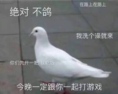 表情包