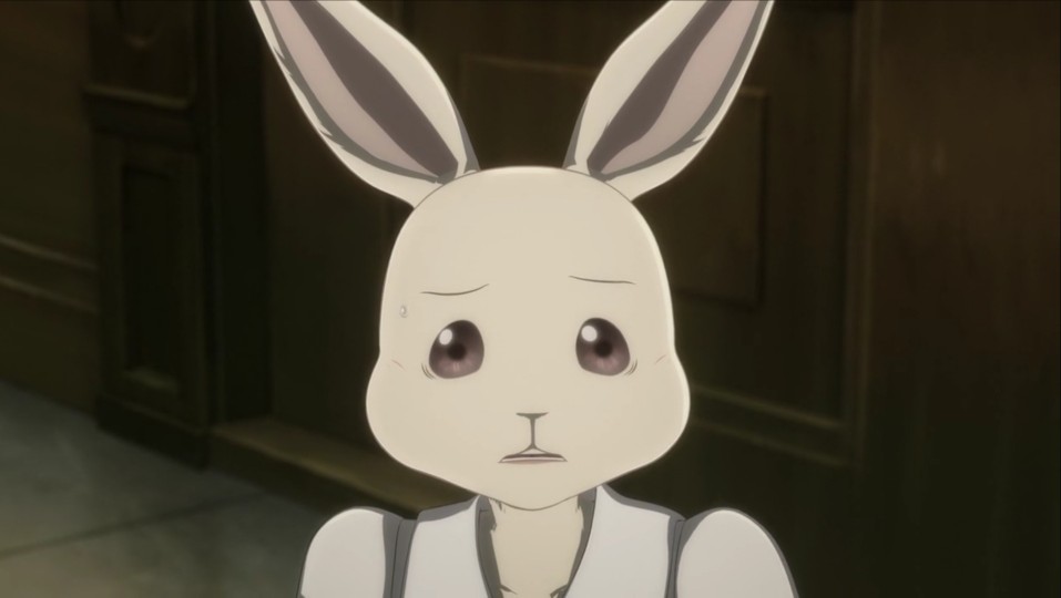 《动物狂想曲/BEASTARS》#自截