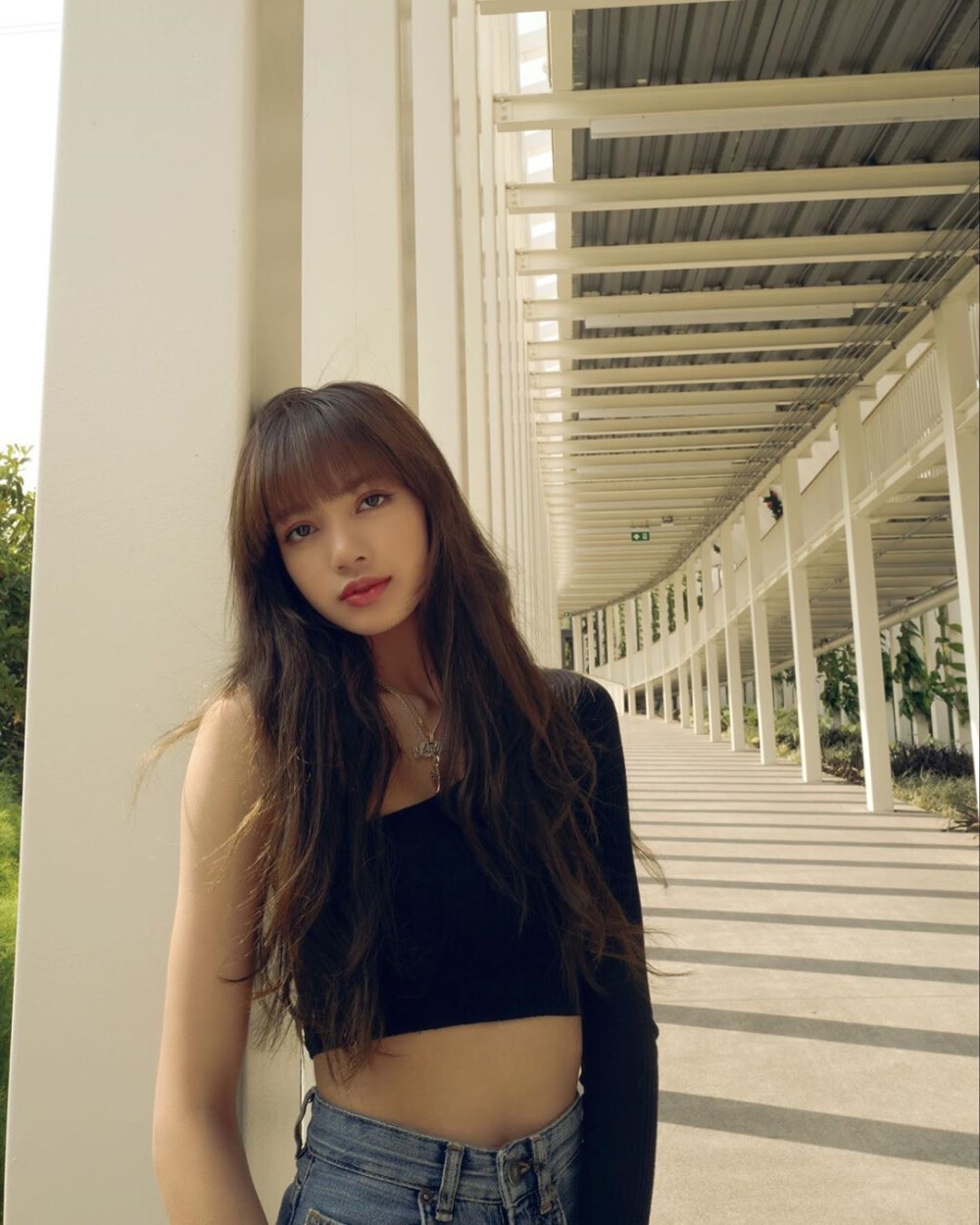 lisa