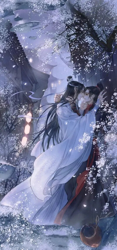 魔道祖师 蓝忘机 魏无羡