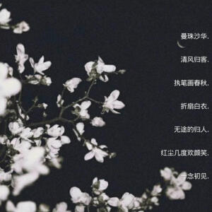 文字
