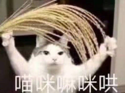 哎嘿