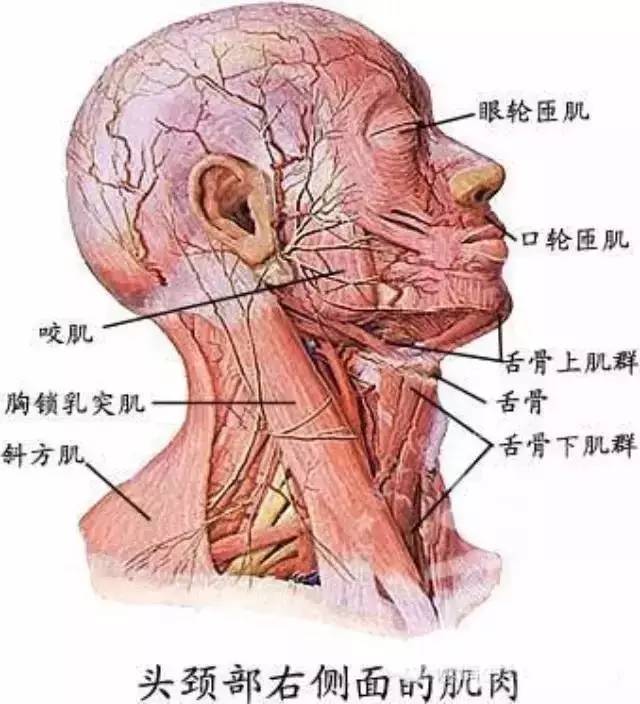 素描