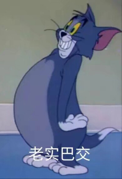 -猫和老鼠表情包
汤姆老实巴交