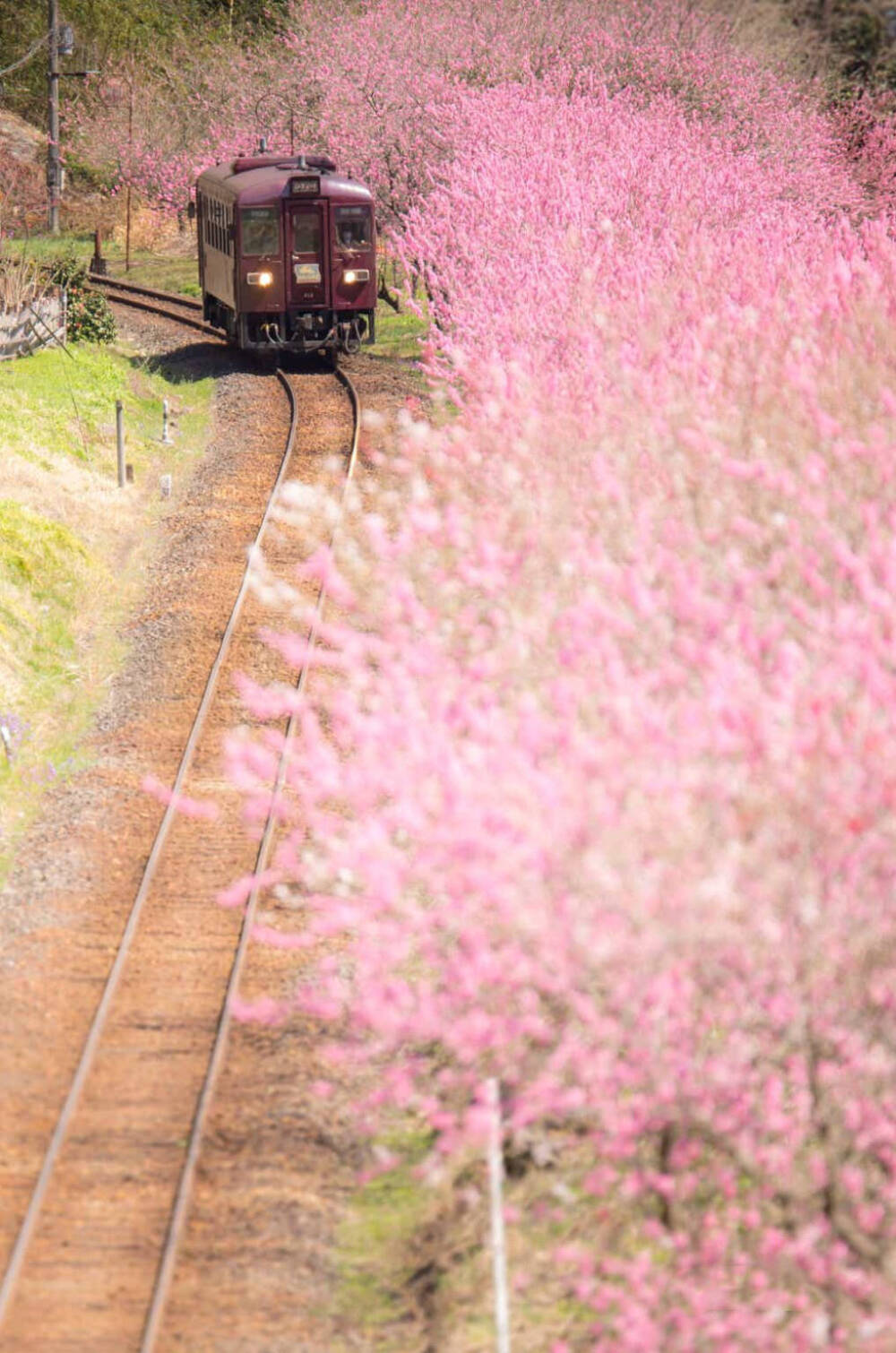 花路