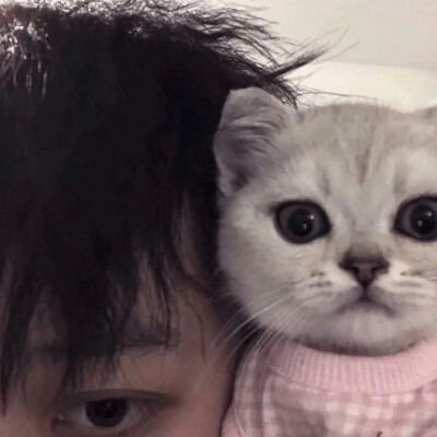 励志成为别人的头像！