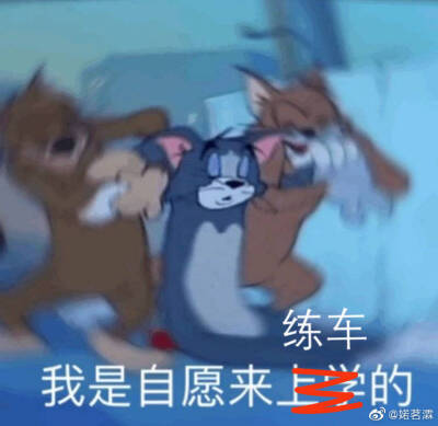 学车好难