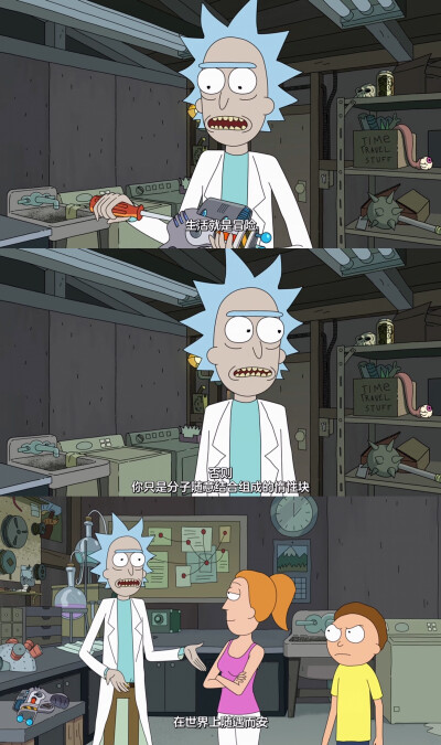 Rick and Morty S3E2 "生活就是冒险 否则 你只是分子随机结合组成的惰性块 在世界上随遇而安"