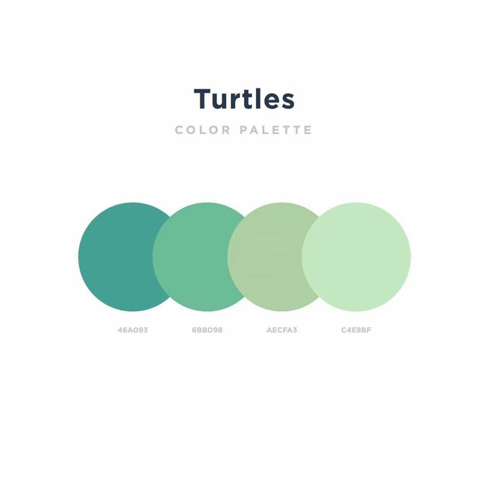 简约大方的配色方案
ins：ocean.ui