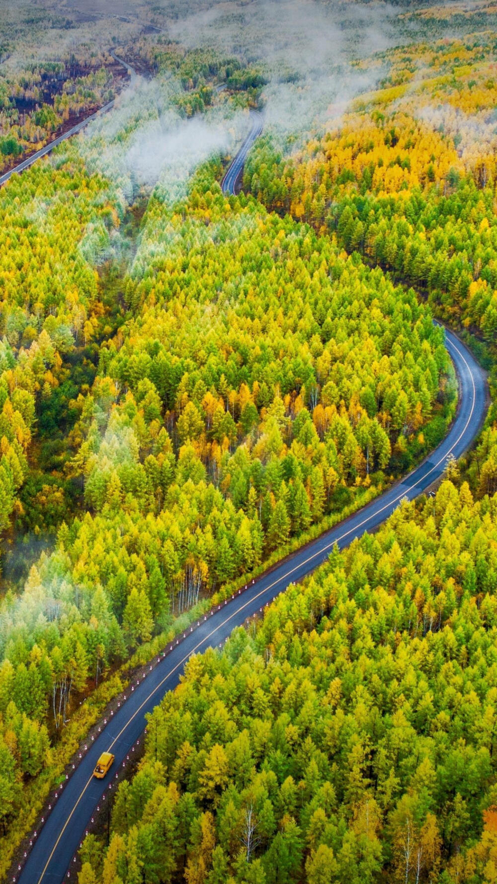 风景 静物 萌宠 壁纸