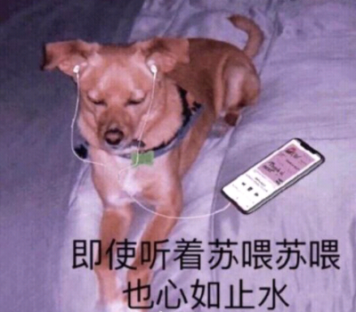 我不是真的人，但你是真的狗