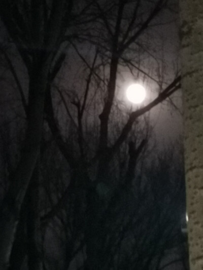 哦！大月亮！