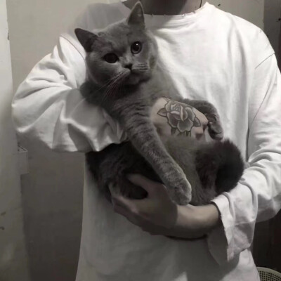 励志成为别人的头像！