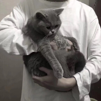 励志成为别人的头像！