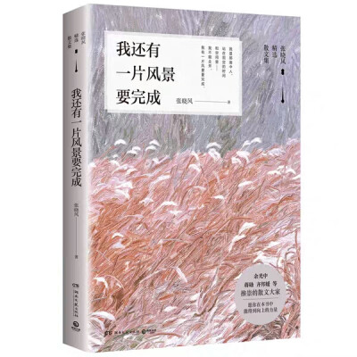 本书分为四个部分，一帙有所思，二帙浪迹，三帙坐看云起，四帙也是心事。从机场的偶遇到远程串门子，从感叹四十岁刚刚好到鼓励人生应做大玩家，从照见人生的大地之镜到浓浓思乡之愁的江河，张晓风将自己对生活的热爱…