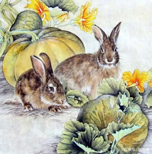 工笔画•兔子