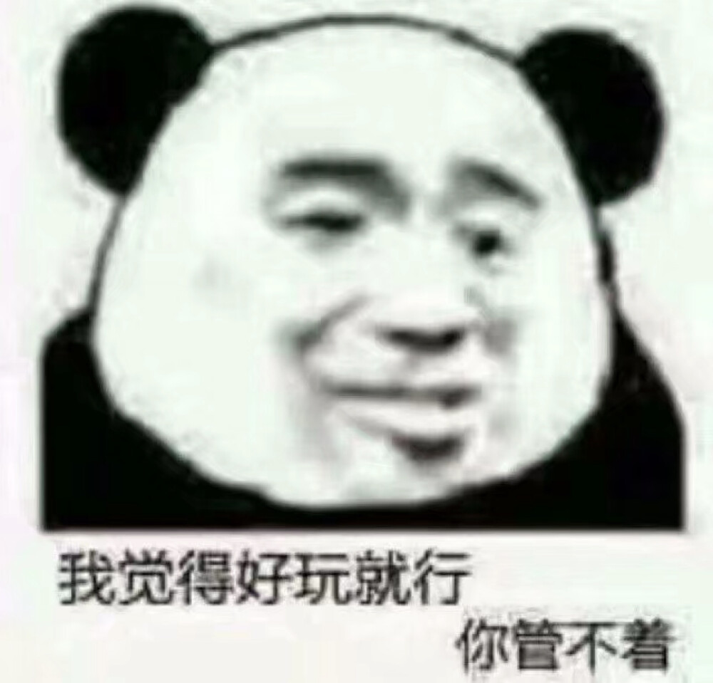 表情包
