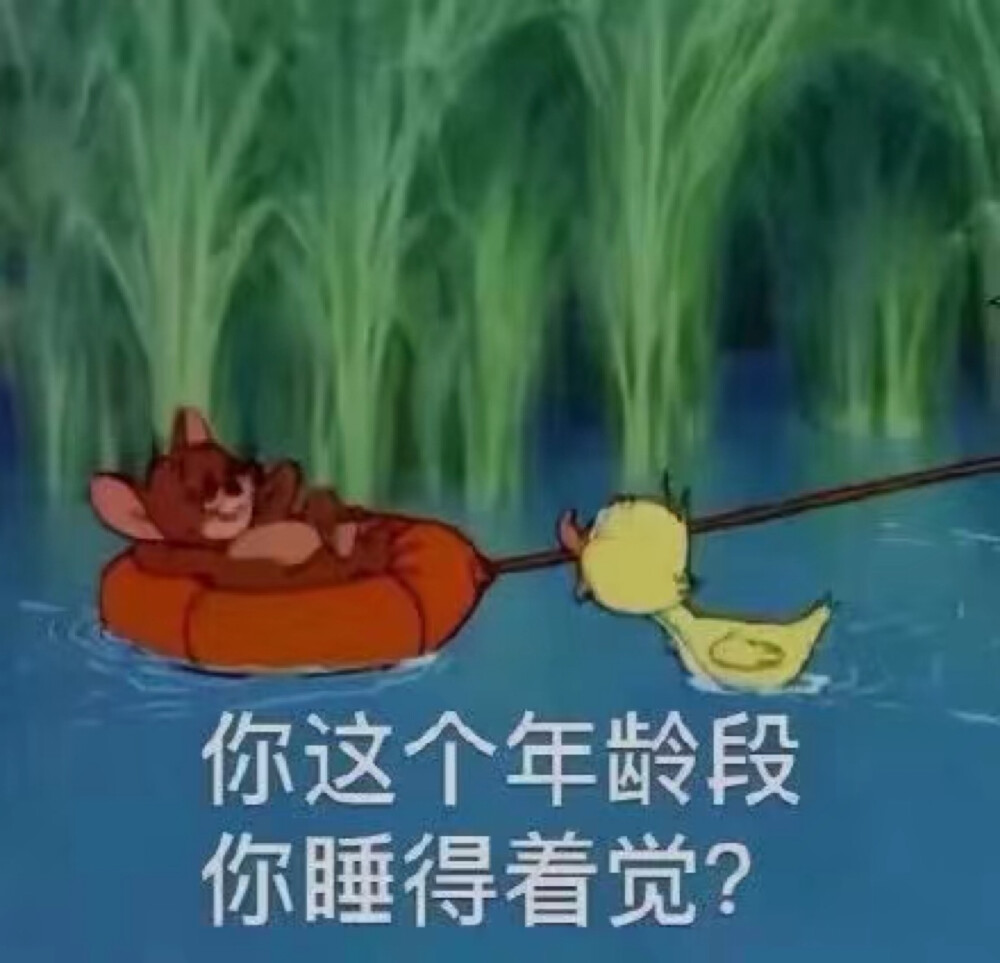 表情包
