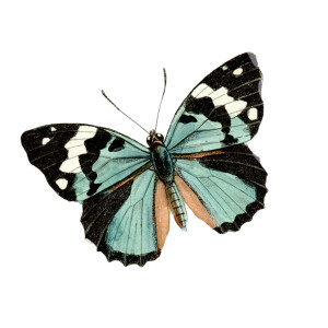  .∗̥✩⁺˚♡ .∗̥✩⁺˚♡ .∗̥✩  