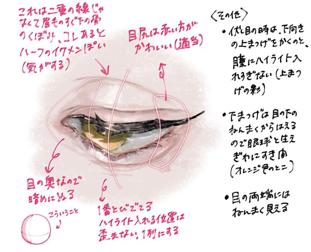 不同角度的眼睛画法